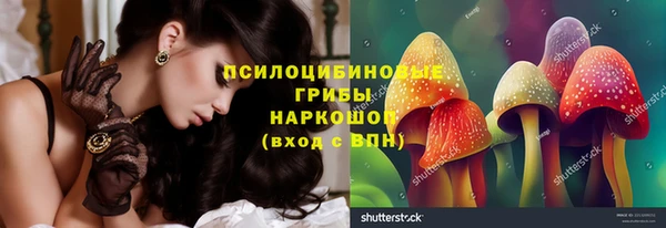 apvp Алексеевка