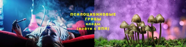 наркотики Алексин