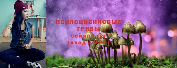 наркотики Алексин