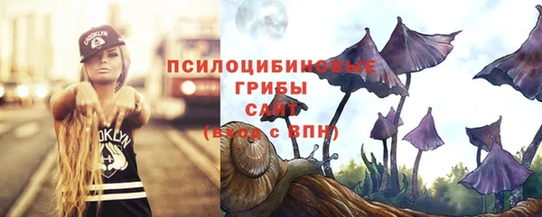 apvp Алексеевка